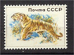 тигр сибирск.jpg