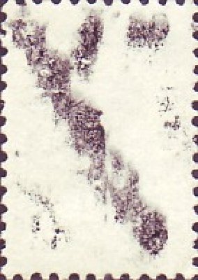 Акляч-переоттиск маки-надпечатки 1992 г (1,5).jpg