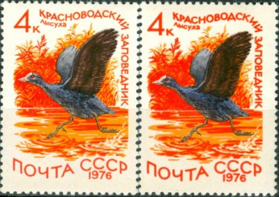 М4613Р1.jpg