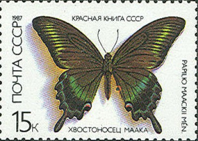 Scan0200.jpg