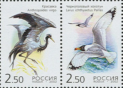 Россия