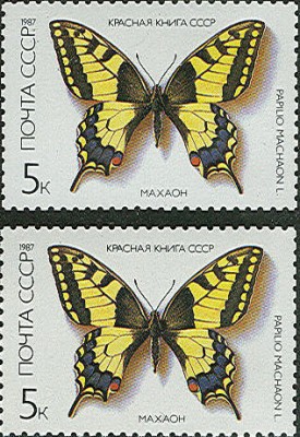 Scan0212.jpg