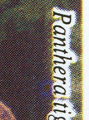 Scan0254.jpg