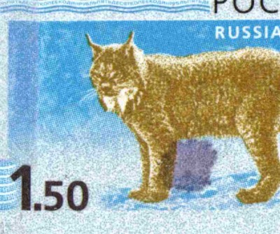 82-я позиция