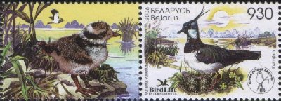 Птица года-2006.jpg