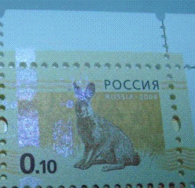 Заяц смазана полоса а.GIF