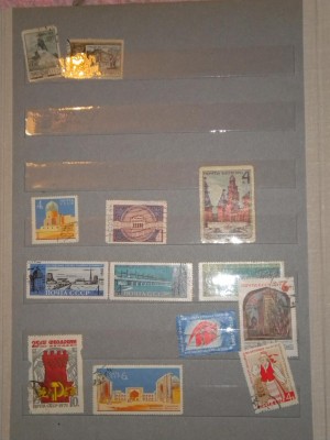 DSCN2721.JPG