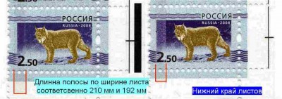 Низ листа Полоса.jpg