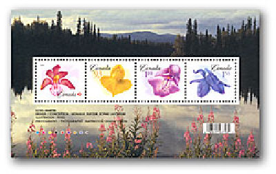 8) Цветы МЛ