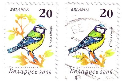 2006.jpg