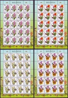 flowers,MS.jpg
