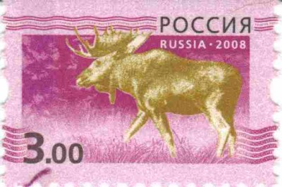 3 р Марашка 5.jpg