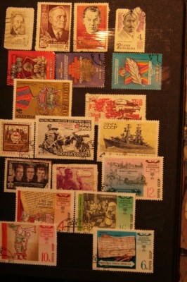 IMG_5051.JPG