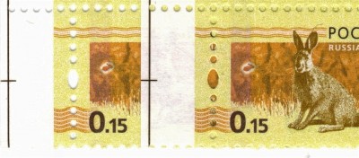 0.15 Марашка 21-я позиция.jpg