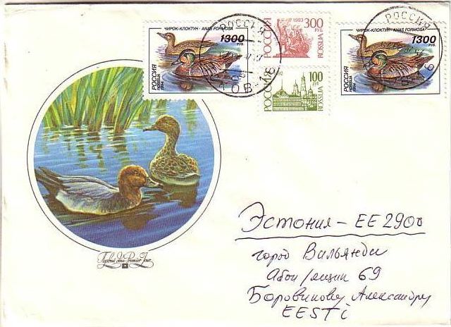 rus-ducks-1300.jpeg