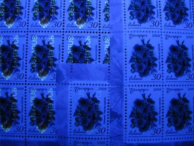 IMG_3820.jpg