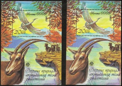 177.jpg