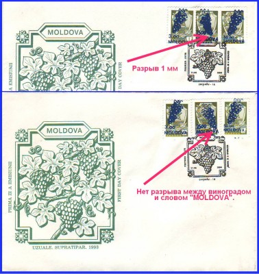 виногр 94.jpg