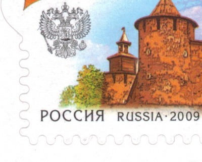 Зеленый куст 2.jpg
