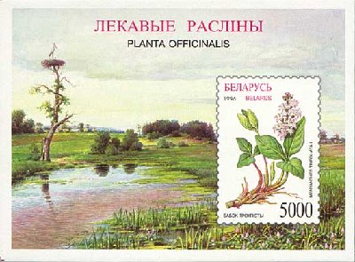 лекавыЕ раслiны