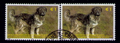 Kosovo dog 1 eur.jpg