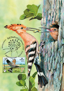 07-2013-03-01-card.jpg