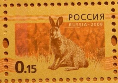 RSCN00102.JPG