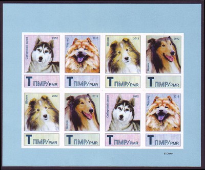 Dogs,collectiva.jpg