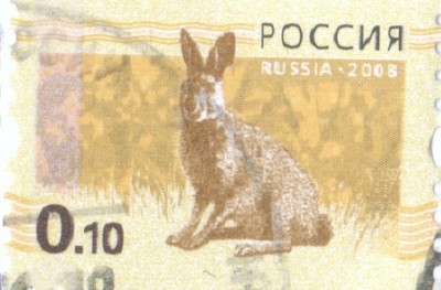 нет растра .jpg