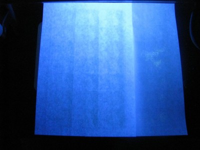IMG_4745.jpg