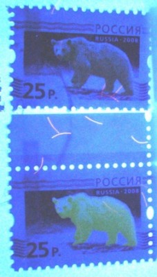 DSC06413.JPG