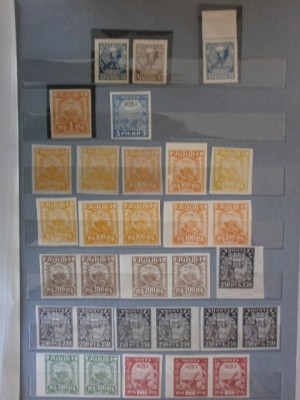 P6020392 (480x640).jpg