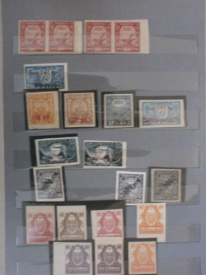 P6020393 (480x640).jpg