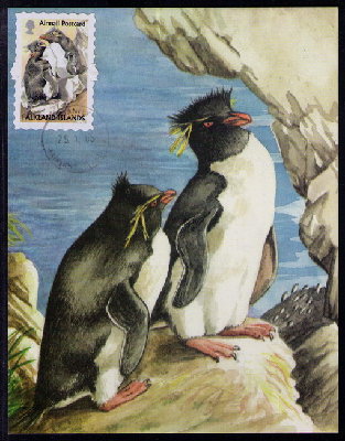 Falkland Island<br />2008 Rockhopper Penguin<br />from airmail booklet 2005