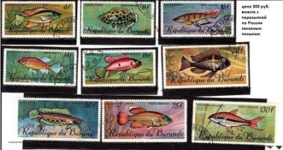 fish-burundi.jpg
