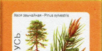 oll_888a.JPG