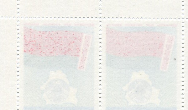 w14.JPG