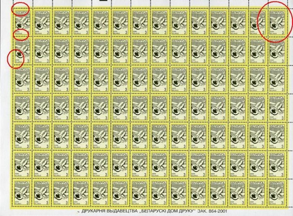 864_.JPG