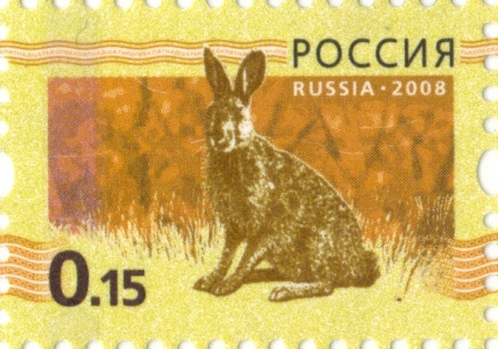 Позиции 10, 20, 30, 40,50, 60, 70, 80, 90, 100-я. Темная цветовая гамма