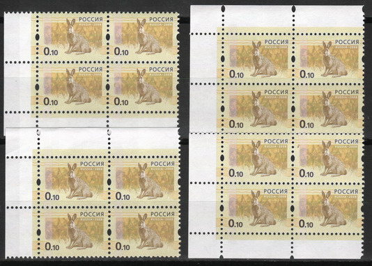 5-010_resize.jpg