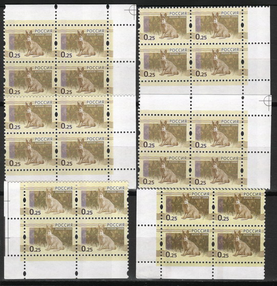 5-025_resize.jpg