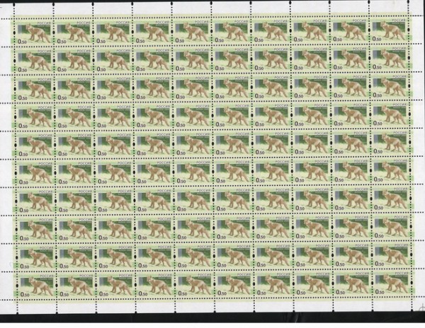 5-050-л2_resize.jpg