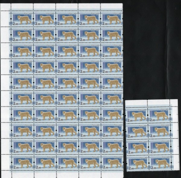 5-200-ч-_resize.jpg