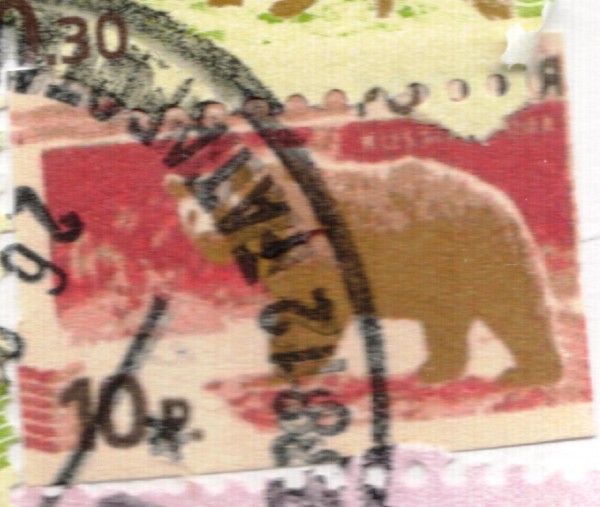 мишка 10р.JPG