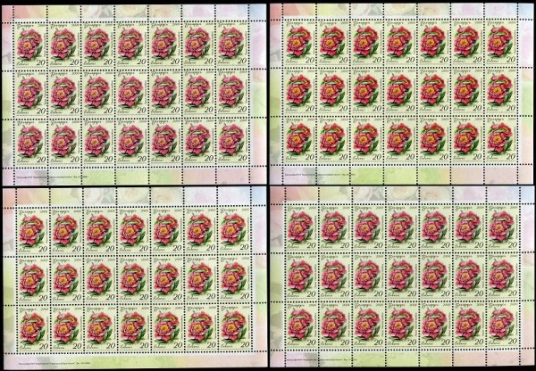 st_7_oll_304.JPG