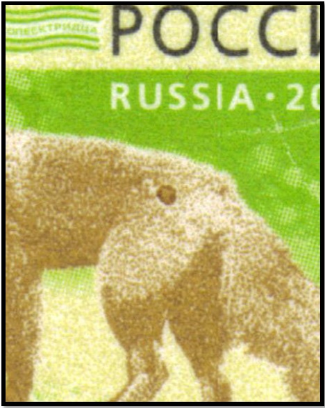 Пятно 1.jpg