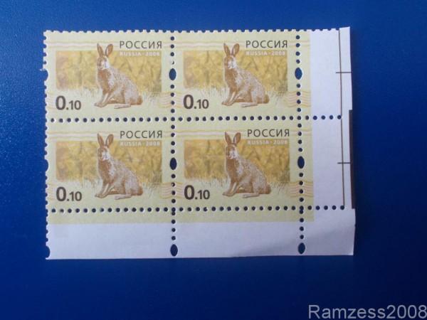 35478402.jpg