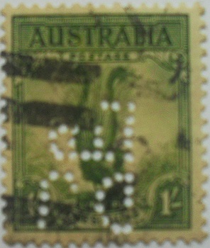 SDC14503.jpg