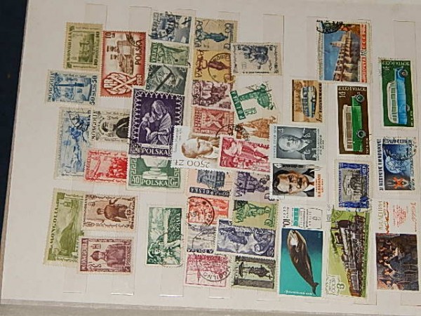 DSCN2101.JPG