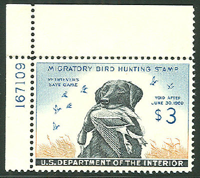 Duck stamp.jpg